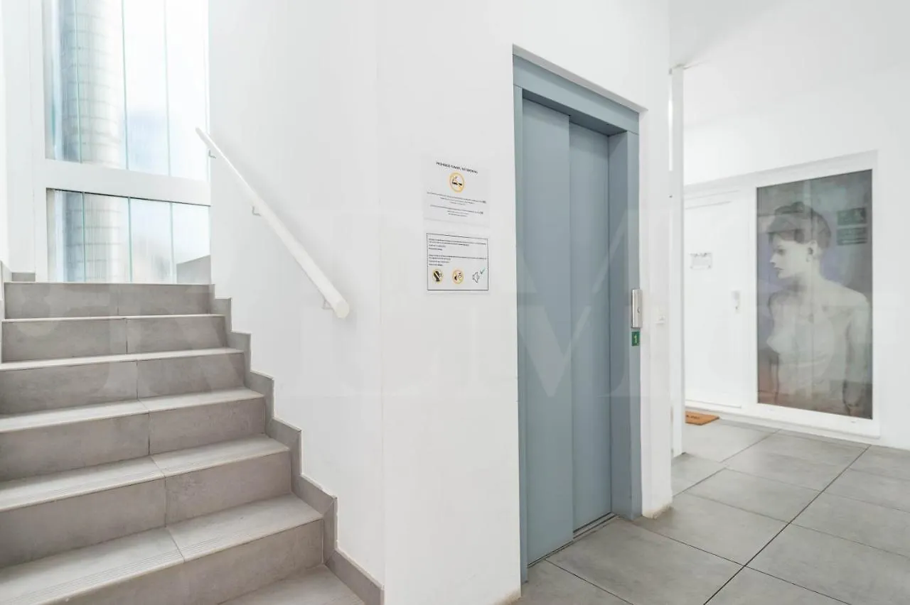 Spacious Apartment By Picasso Museum By Rems Malaga
