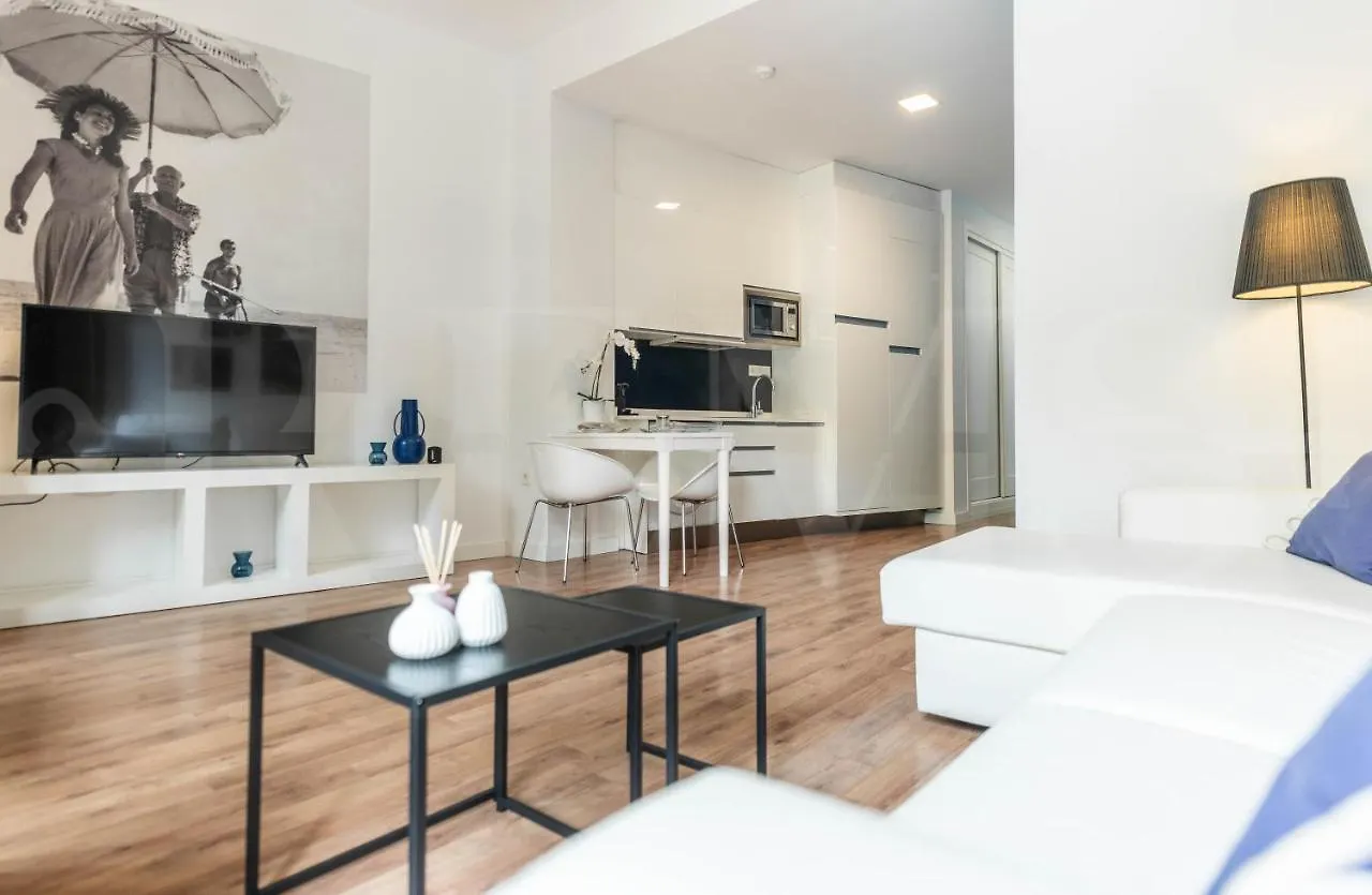 Spacious Apartment By Picasso Museum By Rems Malaga
